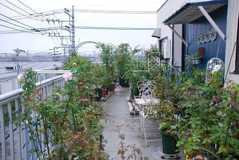 DSC_0325_20130724105130.jpg