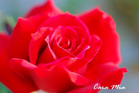 DSC_0048_20120628115359.jpg