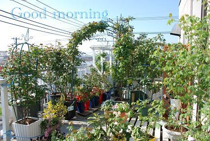 DSC_0036_20120424092037.jpg