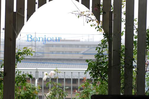 DSC_0001_20120609101058.jpg