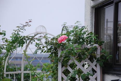 DSC_0326_20130724105052.jpg
