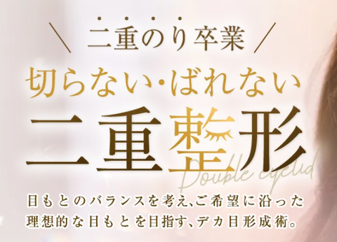 SnapCrab_NoName_2024-1-6_14-13-35_No-00