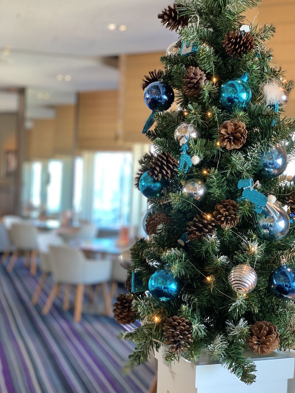 なんば ホテル最上階で安全で美味しいクリスマスブッフェ 大阪ここさんのちょとグルメのblog なんば ホテル最上階で安全で美味しいクリスマスブッフェ 大阪ここさんのちょとグルメのblog