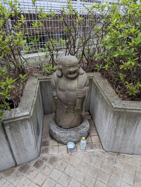 PXL_20250330_003531386.MP