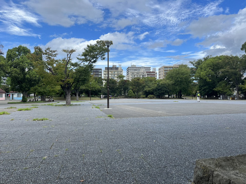 92b0be1db6af166b1e037eebacc810af