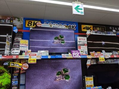 MVIMG_20191128_144808 (1)