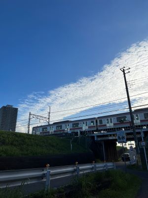 84a74a79c948974f0bd4c6ef268996c3 (1)