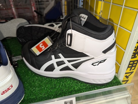 PXL_20241130_103934628