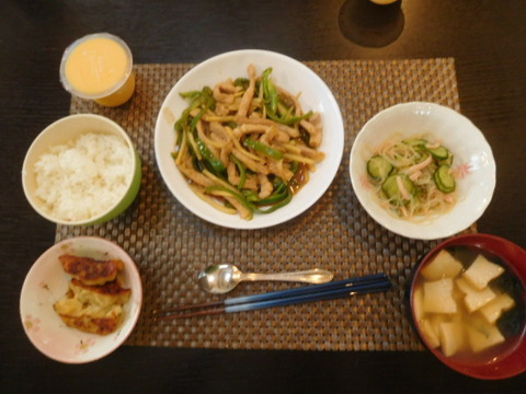 DSCN7207