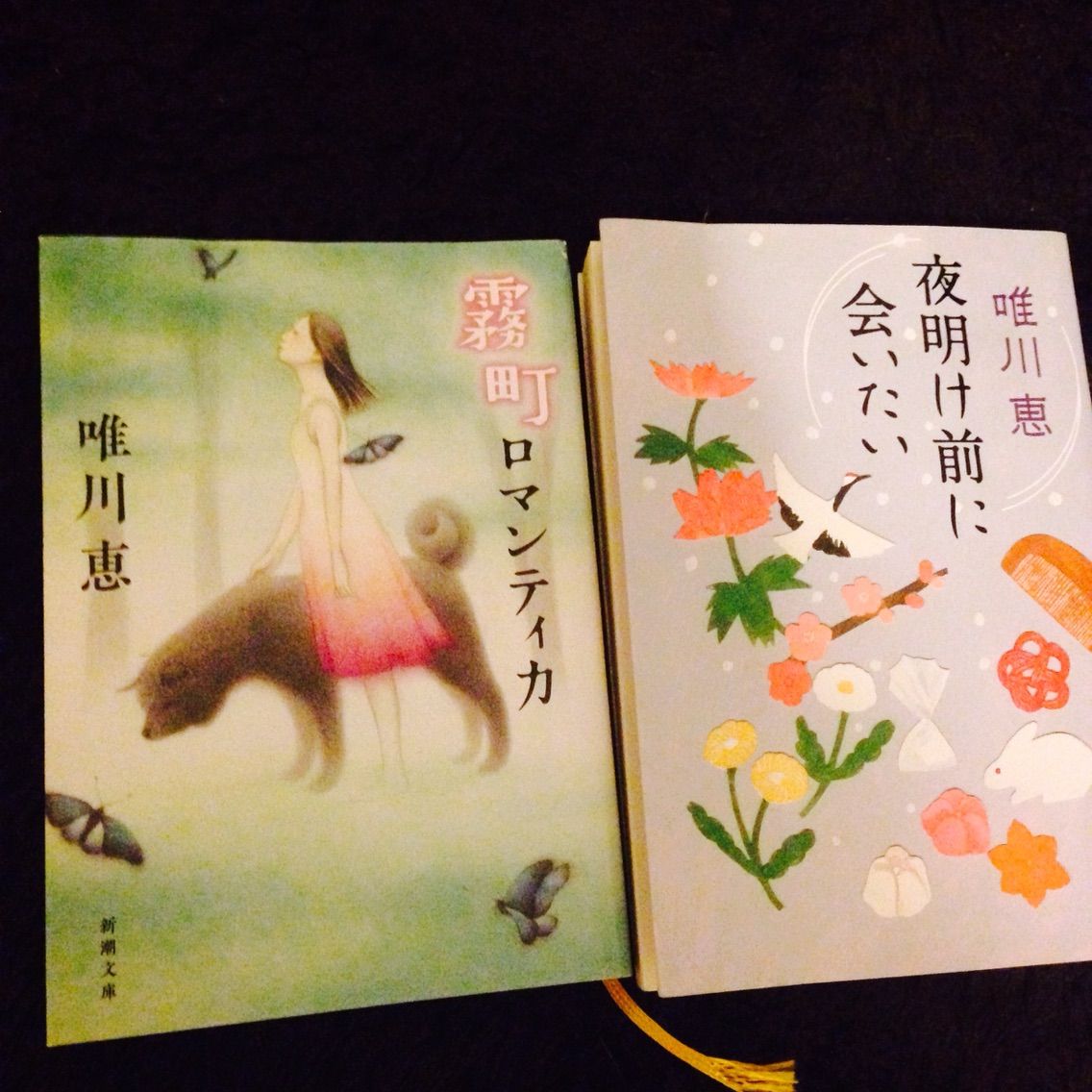 軽井沢と金沢に行きたくなったのは唯川恵のせい 恵比寿olの ニッポンをたのしむ