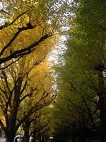 DSCN3716