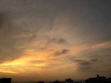 6E559FB0-2975-4950-AE79-F9998ACD66BF