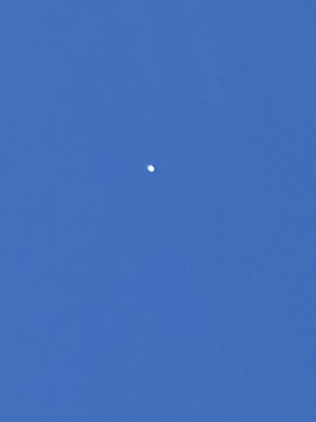 D3FA0A5F-CC69-4E32-9704-CB00330B978B