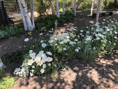 29378FBC-866A-424B-82AA-07DBAE18C85F