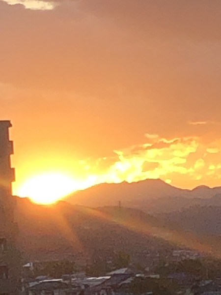 BA4A0ADD-6CE0-464C-A468-7B03DE42C1E6