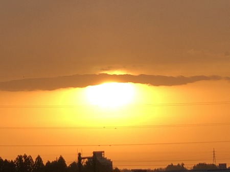 0E8D069B-AAB8-457A-B288-BF14CE3A54D5