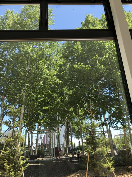 92DC3370-2BD9-4488-833F-97ADE7245E1F