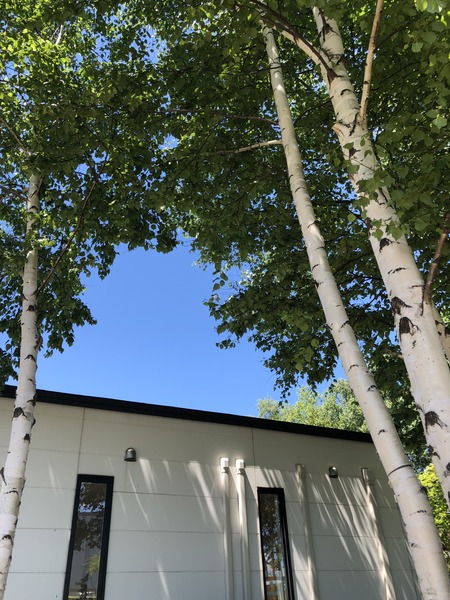 275AE46A-EB4E-4035-87A9-ED3BEC0D7956