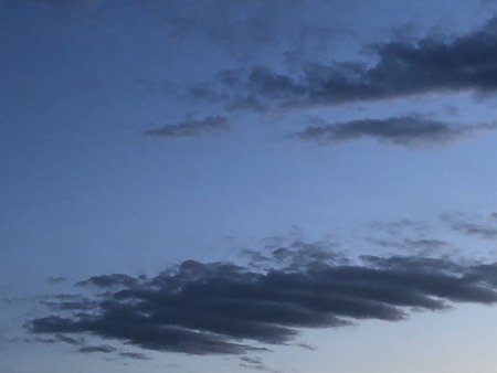 87F051AE-F03C-4A19-8535-79944CDB57C9