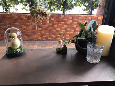 C63E3998-8869-48E1-9915-01CFE5F897B9