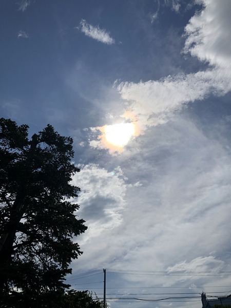 CC99CF4F-9AB1-4CF4-9A58-22485E60B61D