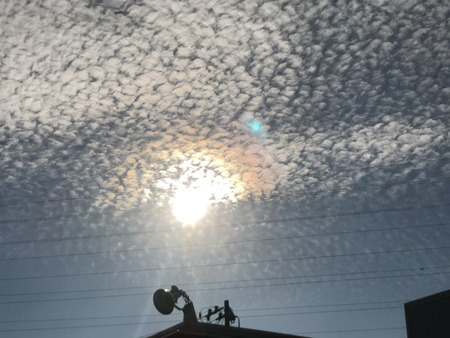 EBBDB3A6-B71B-41A7-B36E-B05AC3E992C9