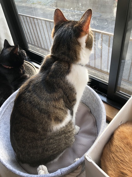 DF2EFEF1-C908-497D-ADAC-53D8F036927F