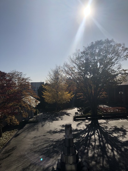 1DB6A917-F1F8-4903-96A3-A4F6E8D1B51A