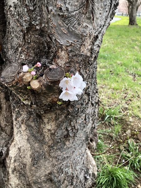 18F16E3F-2475-44AF-AD98-4A9893ED874F