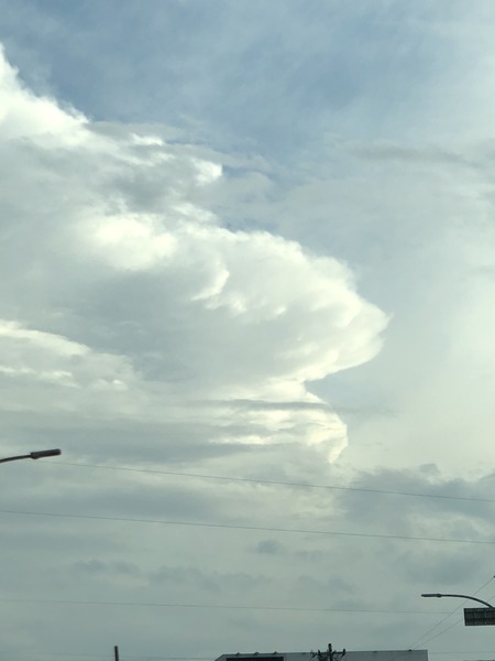 D52B598D-41F4-4D91-A47B-75F52EC95CB6