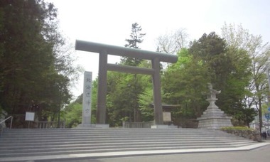 229cd245.jpg