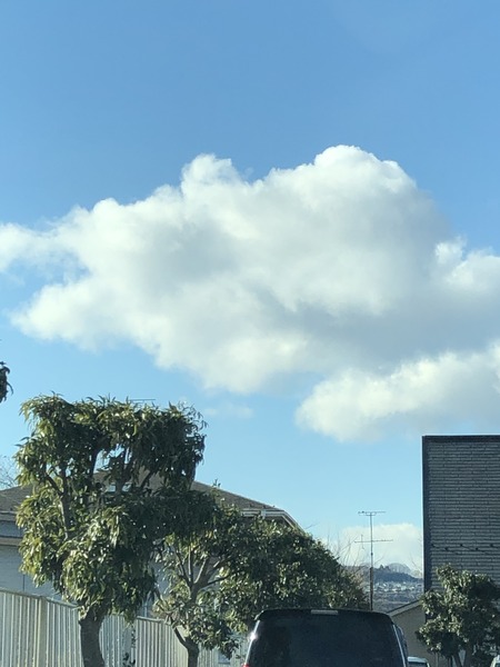 B299CF0F-78EA-49B6-BCA3-40824DB435F6