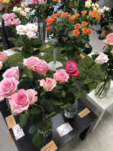 361C2D9A-FE57-4123-83C0-C4B5C2F40020