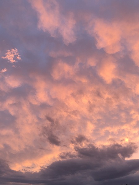 73ED0E5C-337A-47BE-AB1C-33182B405A49