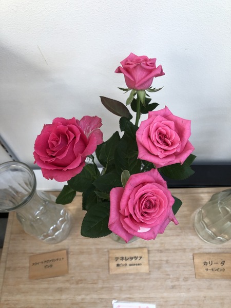 D51EA6A1-4639-4677-A081-20054532638E