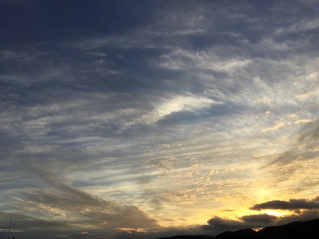 1CC9359C-F3E7-4C4A-873E-C865451216A8