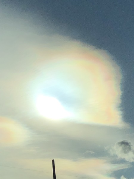 1101C941-243C-4CDA-98CD-F21214D1AA7F