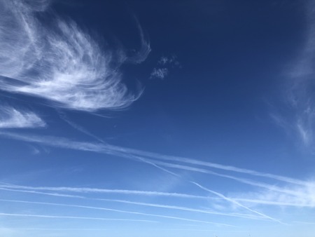 5D6EA68A-A8B1-40BF-BF16-3A768E6C82BA