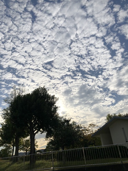 C8A5936B-5AFD-43E0-9853-5933F2AF6815