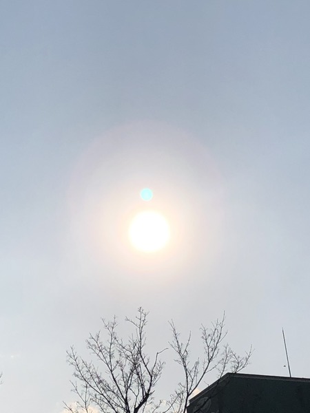 5335523E-38E9-4991-A565-30782DD186CB