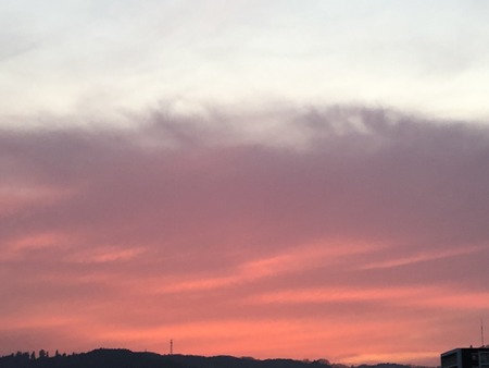 6127AE43-C312-4A15-8673-0D575D64DED1