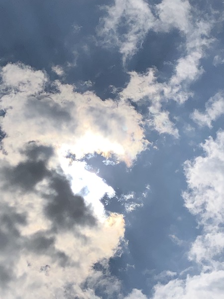 451C0DB1-077F-49A2-9309-44FCD745234F