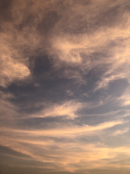 2A9E8556-2096-432A-8DE9-37839F9AB8C2