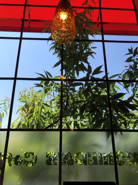 045BE87E-24A1-4413-A640-4CDA9F84C6E3