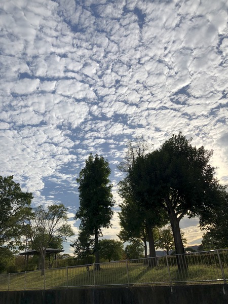 E70FD143-37DD-4C02-93DC-E71B5C7A2041