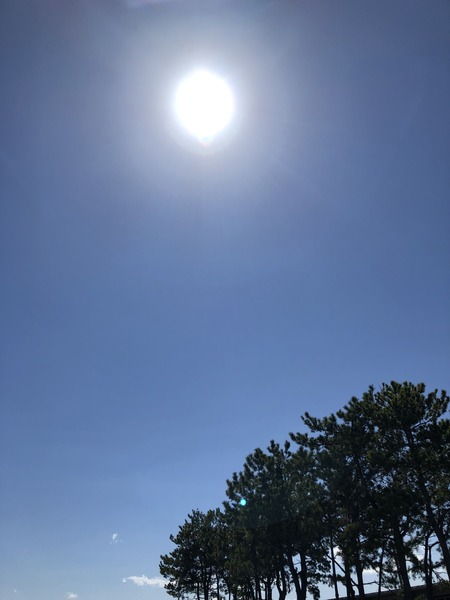 D4B270A6-9E1D-44A7-A0FF-4C184C46C5A6