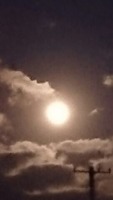3b7a5635.jpg