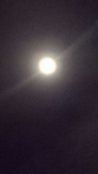 3f639581.jpg