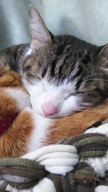 FC6D6F2E-03EC-4A49-A38D-D50A7CE5B8A1