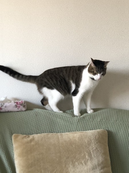 BCFCDA1C-2B79-4D74-AE38-32438D713848